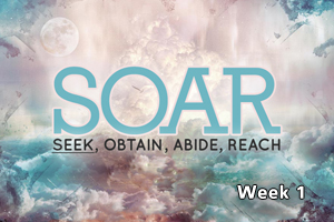 SOAR – Wk. 1 (SEEK)