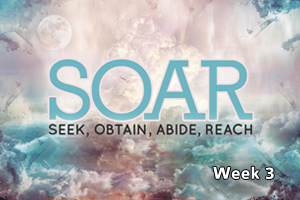 SOAR – Wk. 3 (ABIDE)
