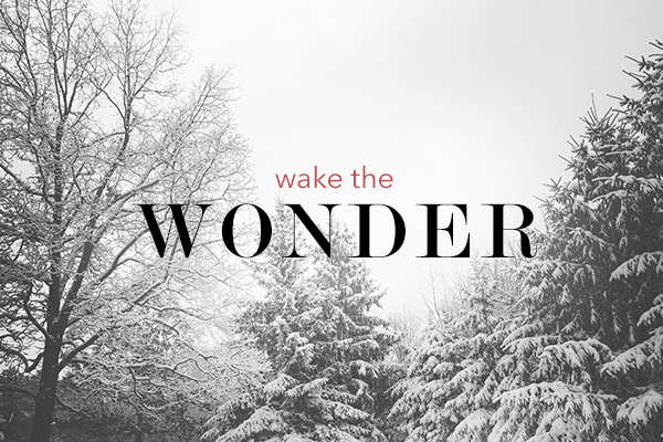 Wake the Wonder – Wk. 3